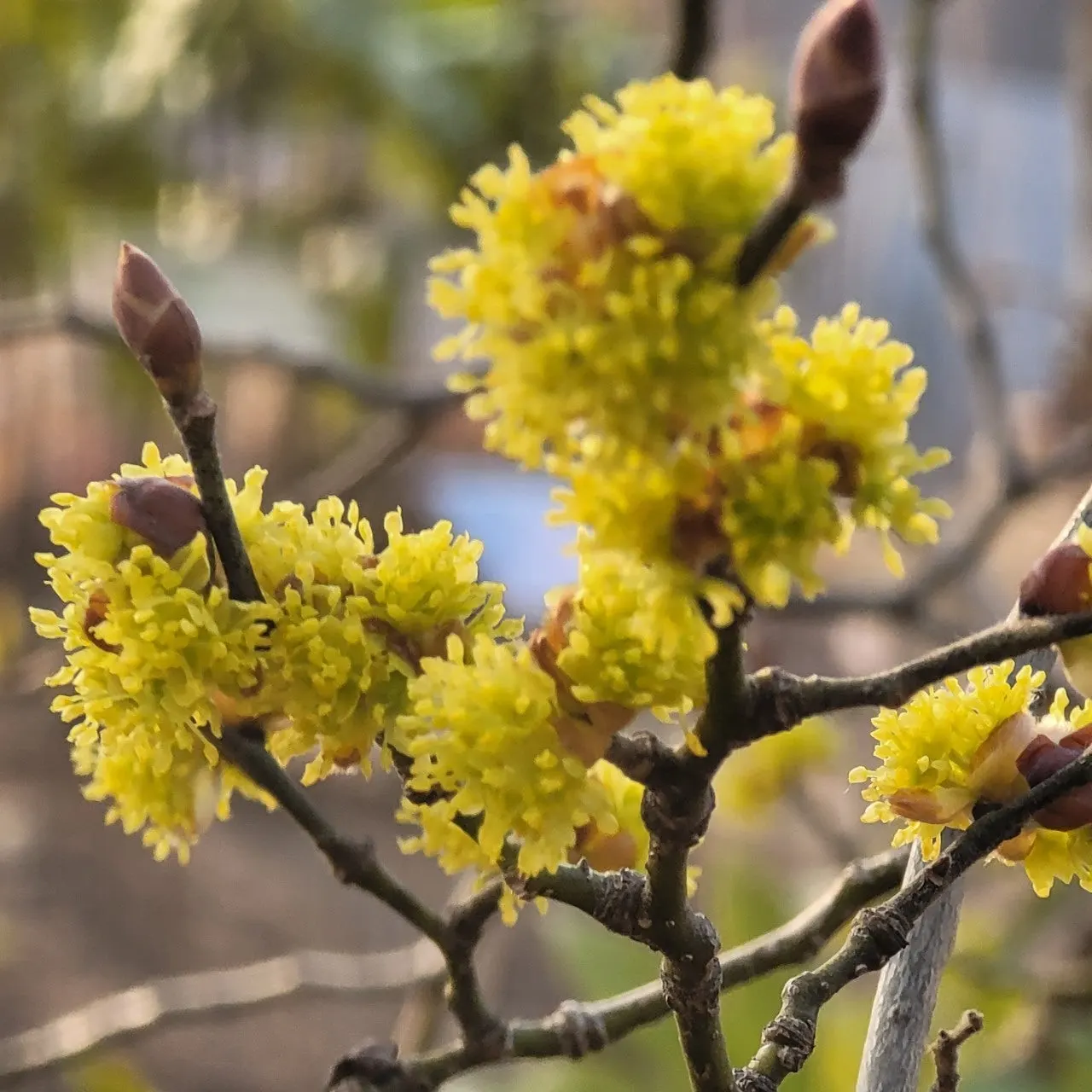 a_gh4Ud018svc1zc3pq7yyflx_149gk0.jpg?type=e1920_std