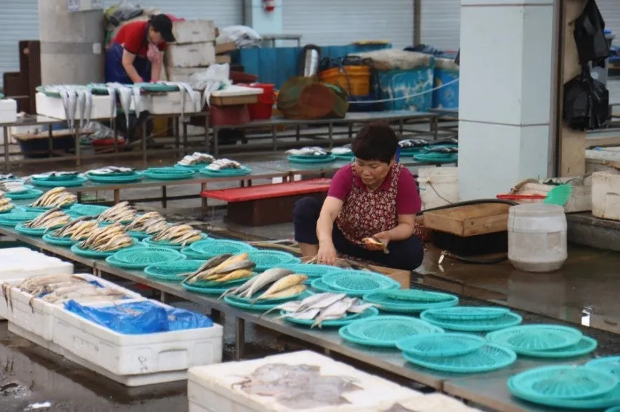 5_8b5Ud018svc1vgbckwqmm7h7_149gk0.png?type=e1920_std