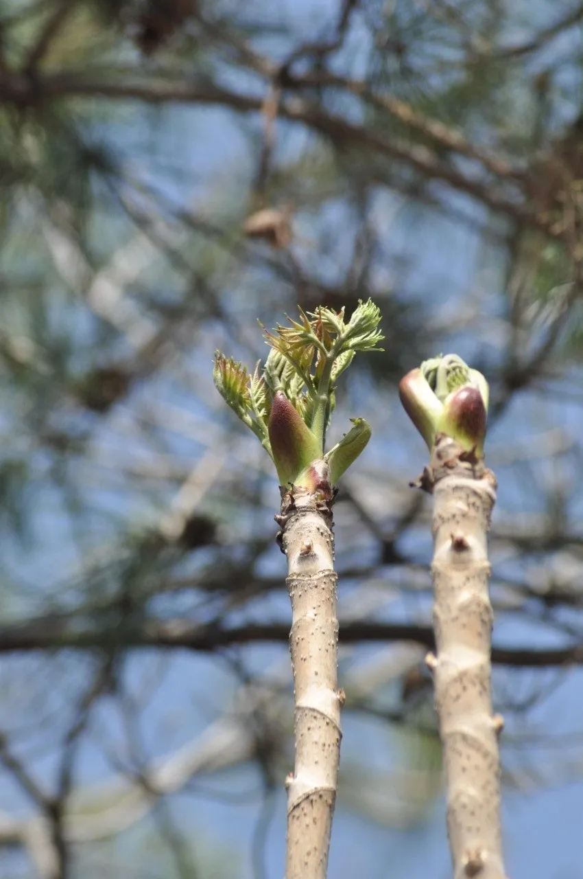 a_5d6Ud018svcinru44qmb7im_149gk0.jpg?type=e1920_std