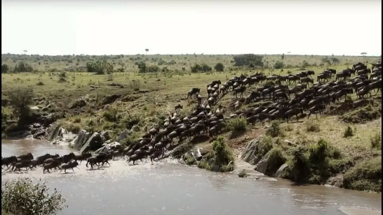 c_j64Ud018svc1qybhk9eiupnd_149gk0.jpg?type=e1280_std