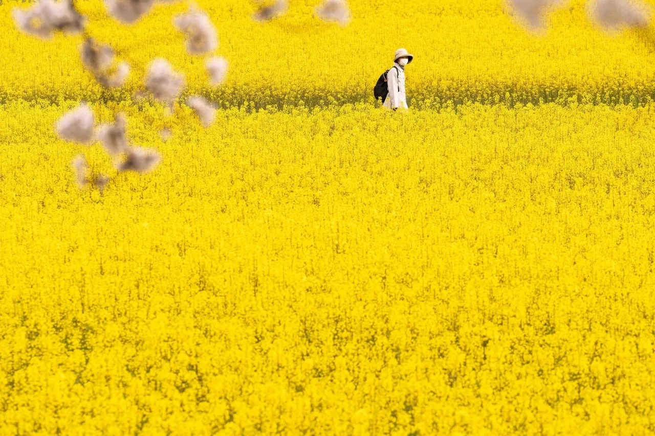 c_a4bUd018svc19mkwn3p5zzwx_149gk0.jpg?type=e1920_std