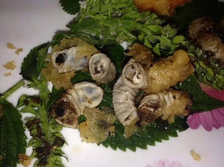 f_aceUd018svc8wug9o5aeqv5_149gk0.png?type=e1920_std