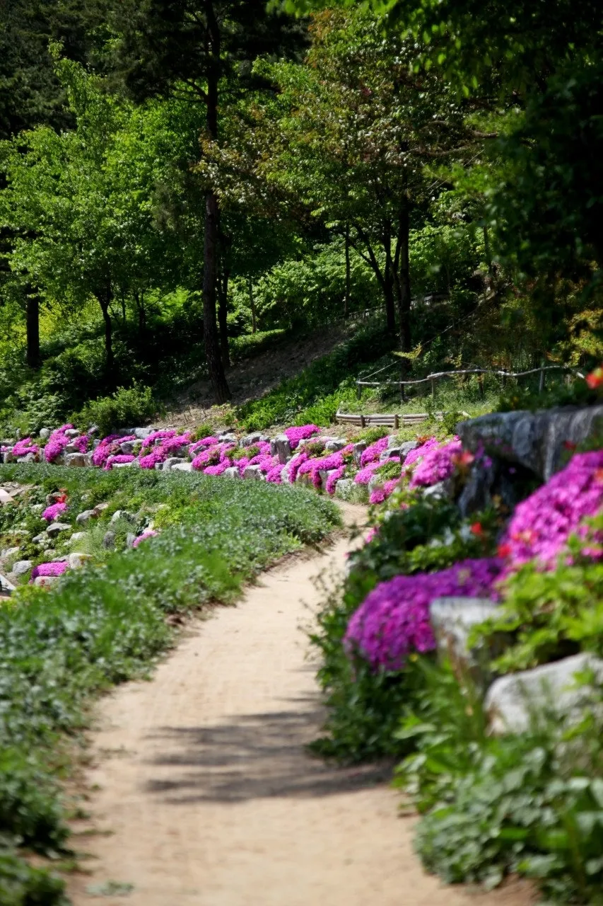 6_i58Ud018svcudqxi5i0dyv5_149gk0.jpg?type=e1920_std