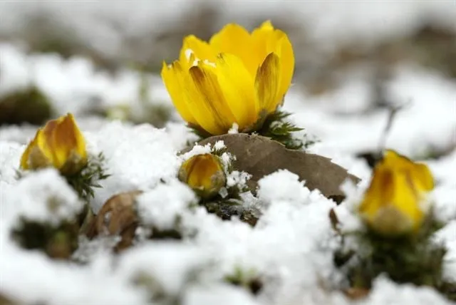 8_147Ud018svc1t5o0rizhwq8h_149gk0.jpg?type=e1920_std