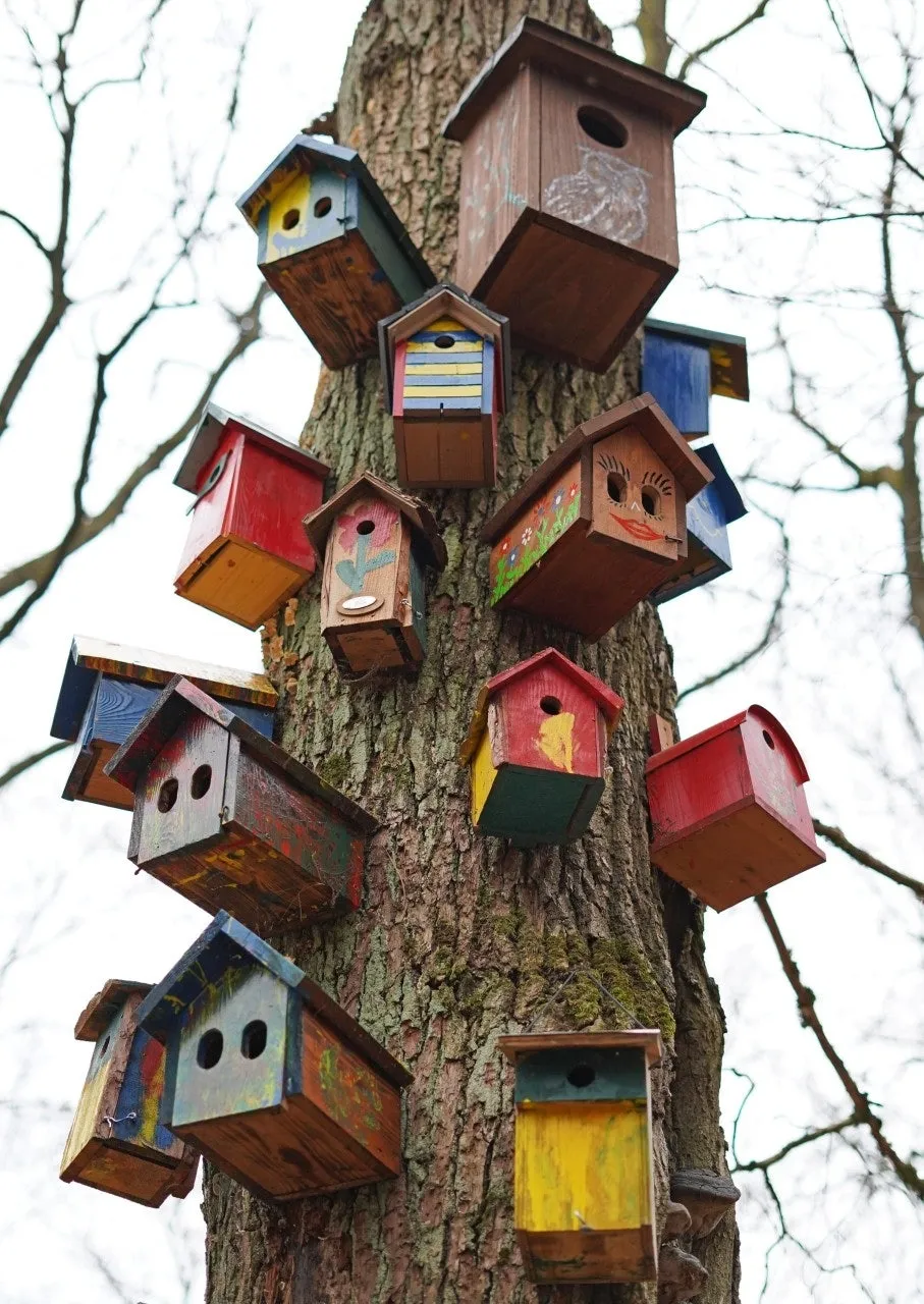 5_703Ud018svctb2h6jsr9ecx_149gk0.jpg?type=e1920_std