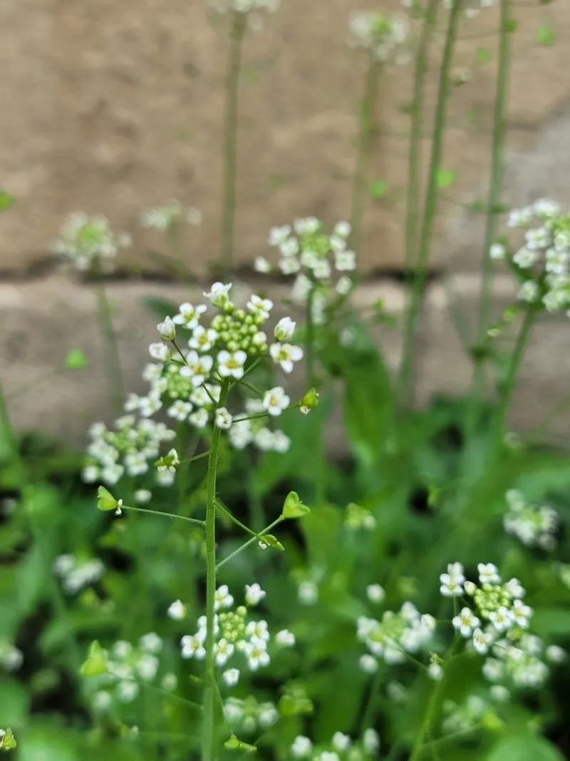 a_bb3Ud018svc18g9ek6d74glx_149gk0.png?type=e1920_std