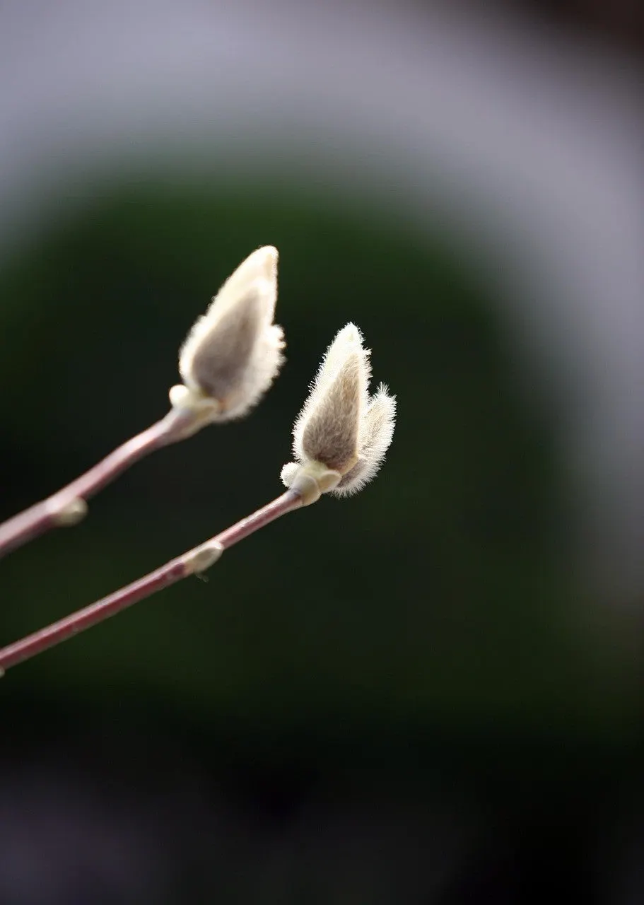 0_gb4Ud018svc1ao8r3eyrch15_149gk0.jpg?type=e1920_std