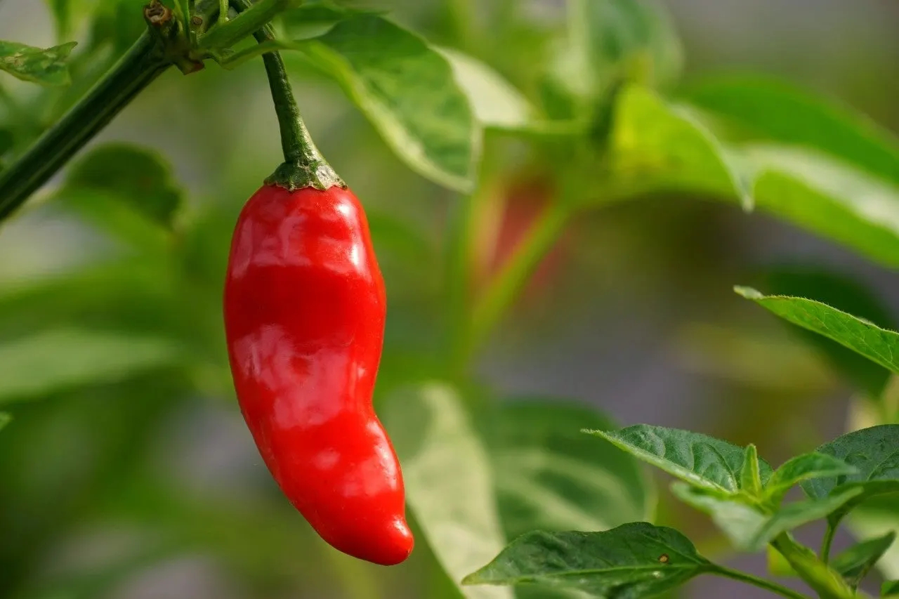 1_j01Ud018svcxujjfyyzsx2b_149gk0.jpg?type=e1920_std