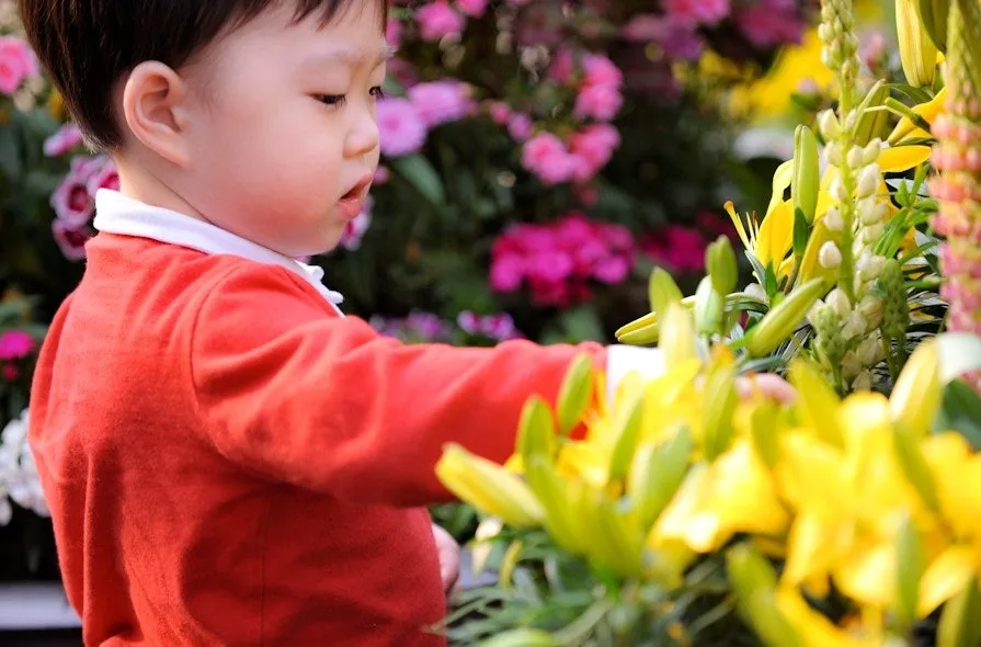 a_bcaUd018svc13bryzihjx502_149gk0.png?type=e1920_std