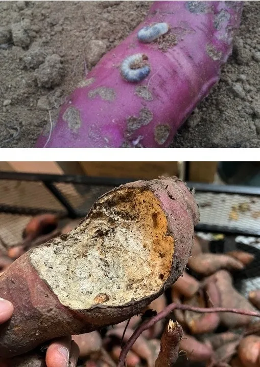 f_1ceUd018svcn96bgrps2q0l_149gk0.png?type=e1920_std