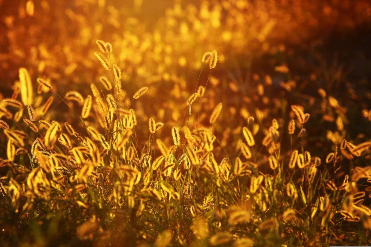 f_f8hUd018svclcvy4uzmctld_149gk0.jpg?type=e1920_std