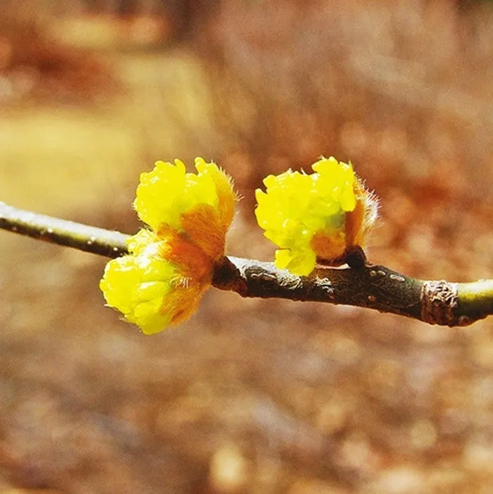 a_ih4Ud018svcq4rp88mt3eo1_149gk0.png?type=e1920_std