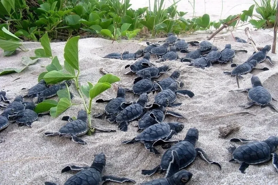 5_ff3Ud018svcv2zts1ltfdkz_149gk0.png?type=e1920_std