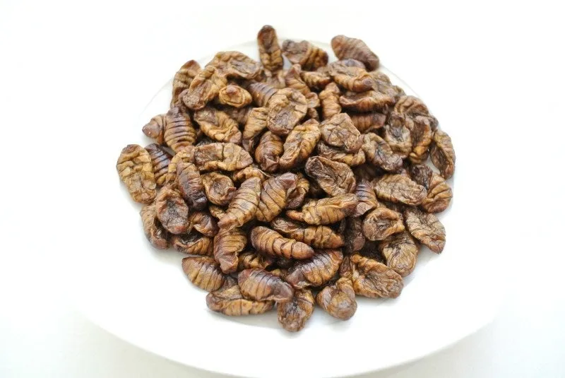 7_7d3Ud018svc1j2b6l9q2hx9_149gk0.png?type=e1920_std