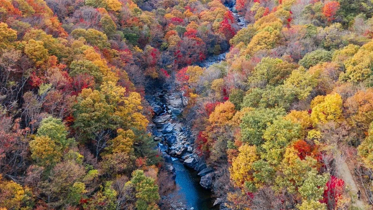 1_51bUd018svccratfyxuqhcg_149gk0.png?type=e1920_std