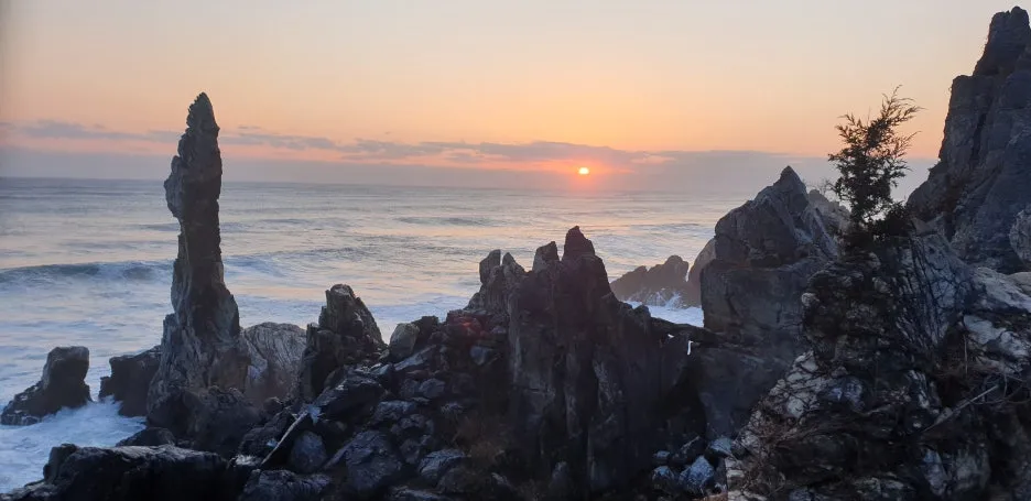 KakaoTalk_20260325_155034034_07.jpg?type=w1