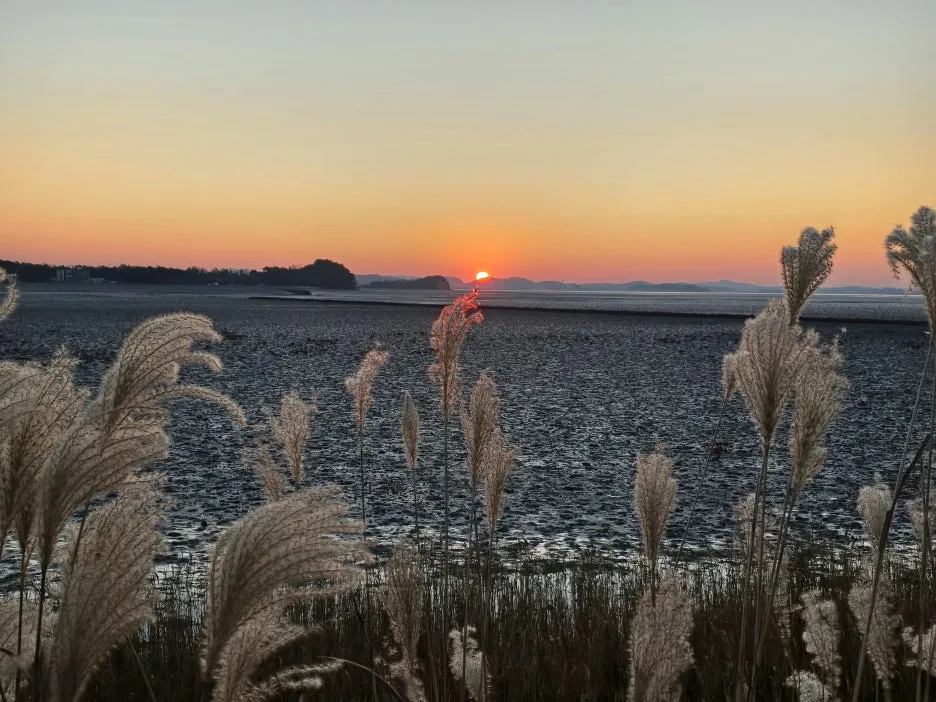 KakaoTalk_20260325_153214839_26.jpg?type=w1