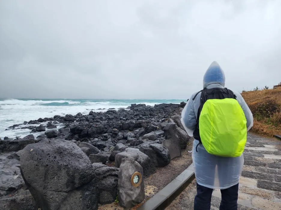 KakaoTalk_20260325_155034034_01.jpg?type=w1