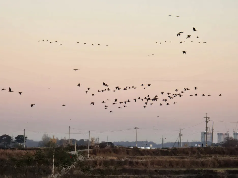 KakaoTalk_20260325_153214839_27.jpg?type=w1