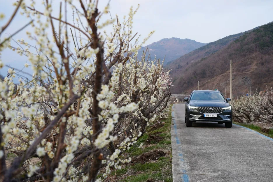 DSC01201.JPG?type=w1