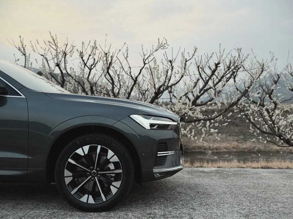 KakaoTalk_20260317_181806071_11.jpg?type=w1