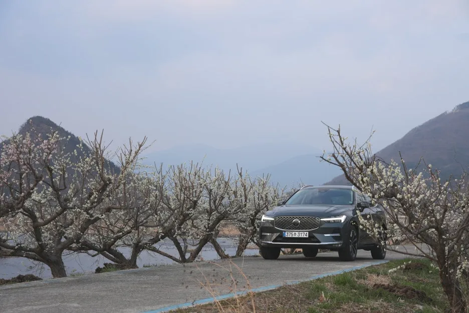 SE-7a7f4e04-6641-4e0b-8835-c5797a8bc637.jpg?type=w1