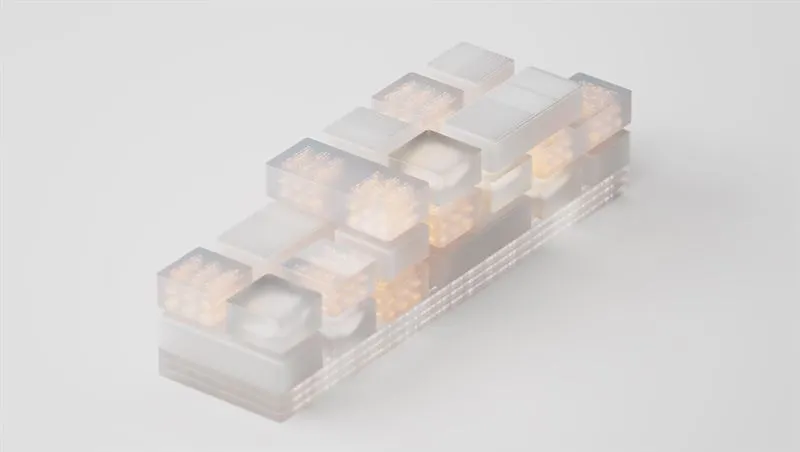 a0238c3eb3746b7e_800x800ar.jpg?type=w1