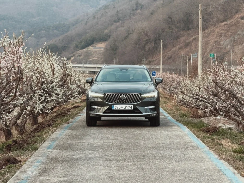 SE-f3ac16d5-a7e0-415c-a31b-e924946f685f.jpg?type=w1