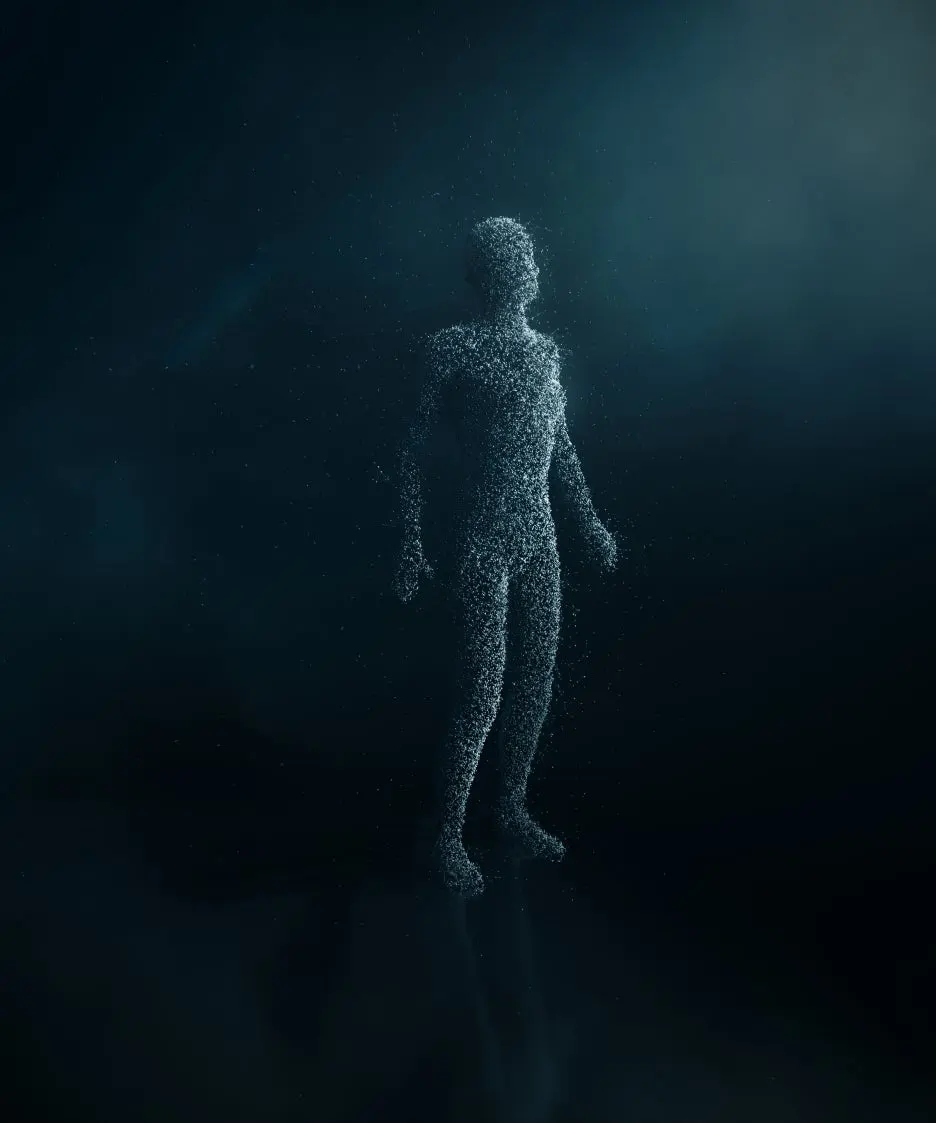 250454_1_5.jpg?type=w1