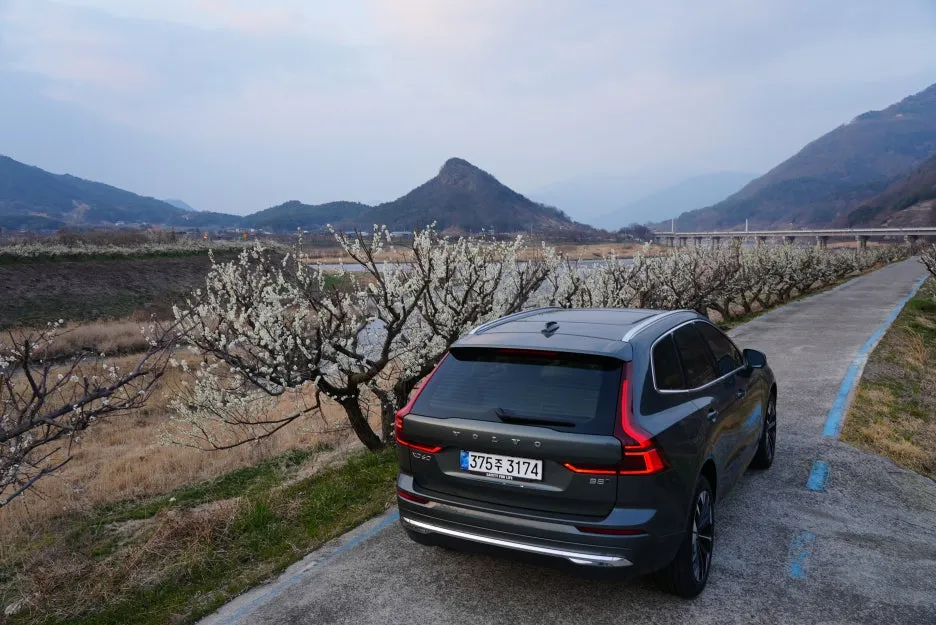 DSC01263.JPG?type=w1