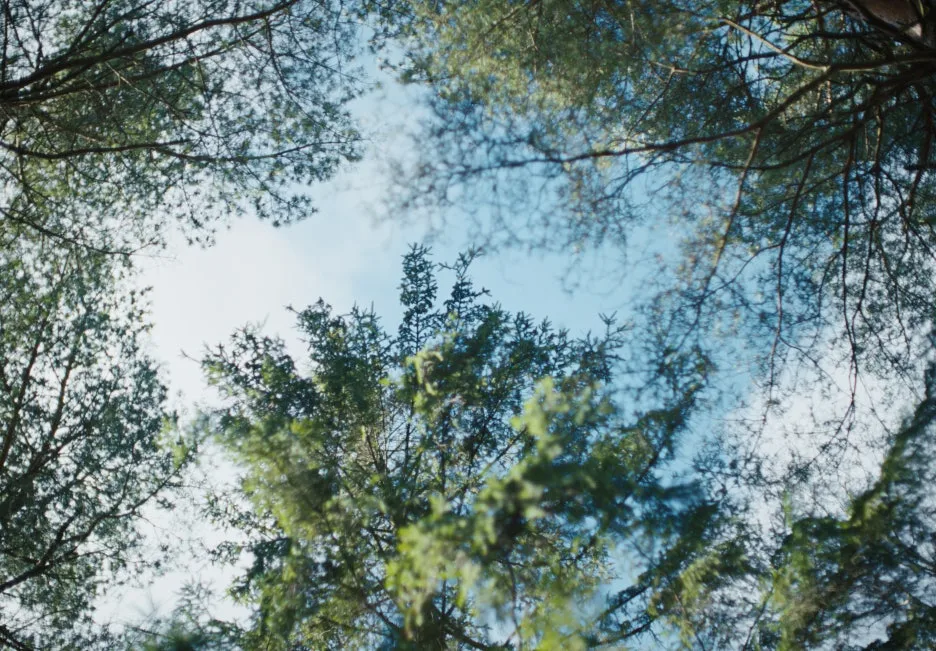 309921_1_5.jpg?type=w1