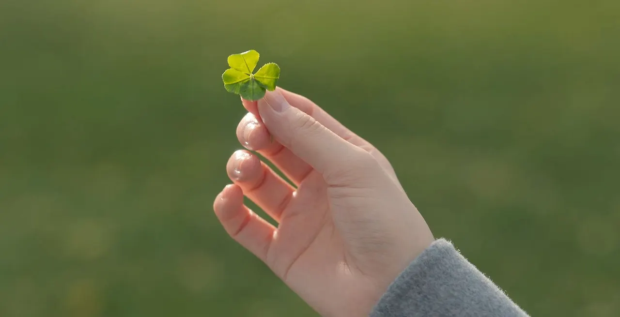 5화 네잎 클로버.JPG