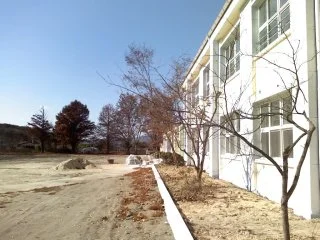 4 초등학교 사진.jfif