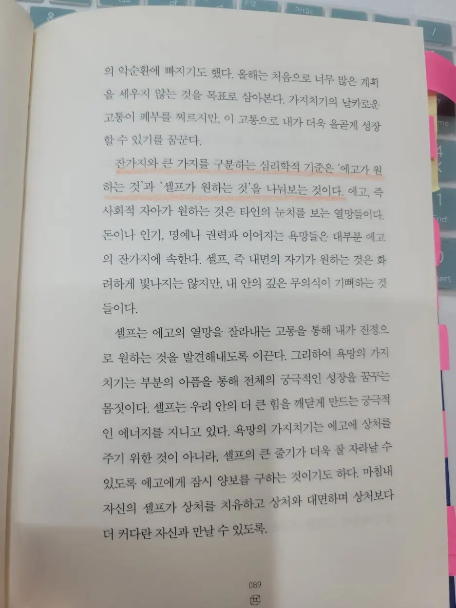 KakaoTalk_20260324_014500192_04.jpg?type=w1