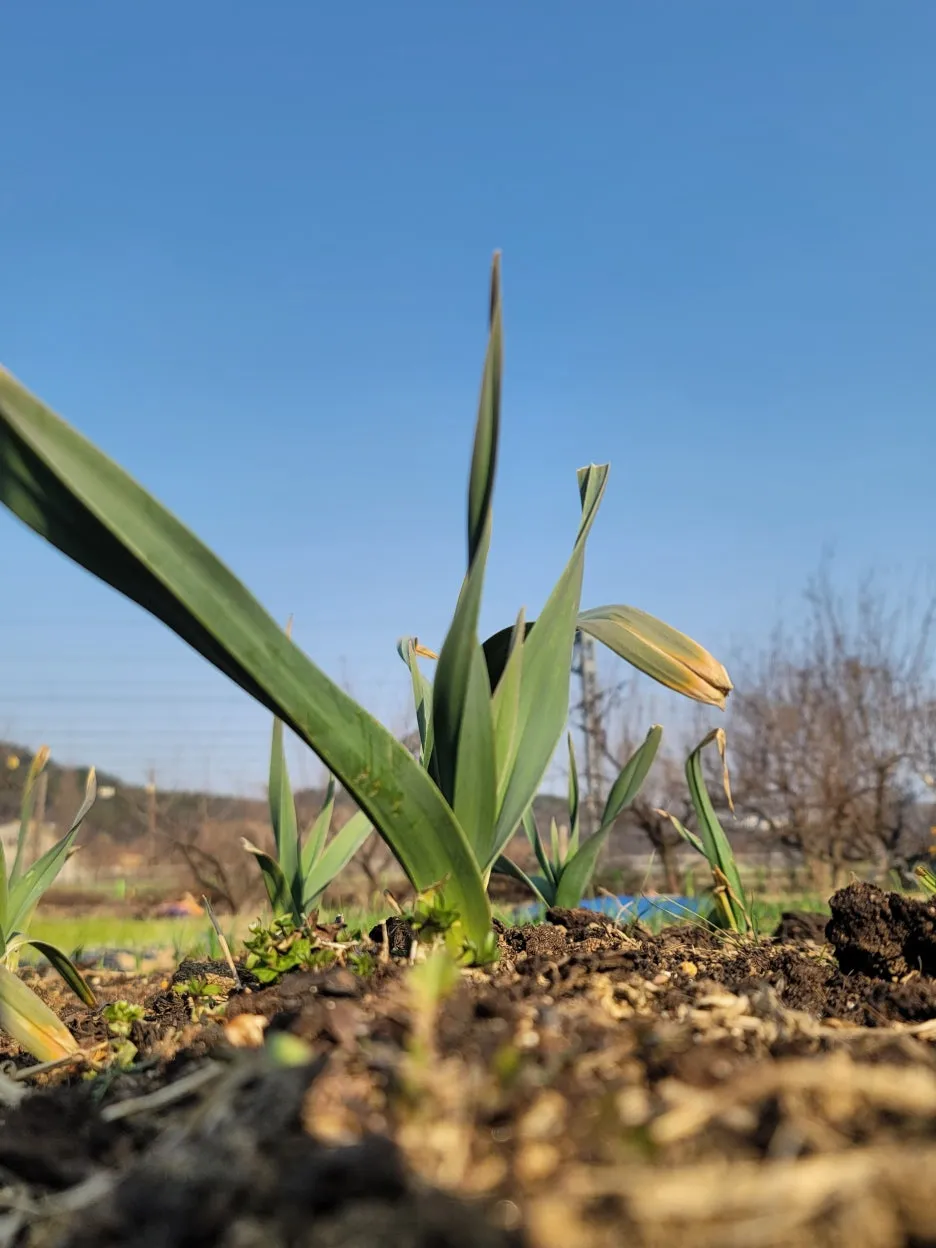 KakaoTalk_20260321_161837842_02.jpg?type=w1