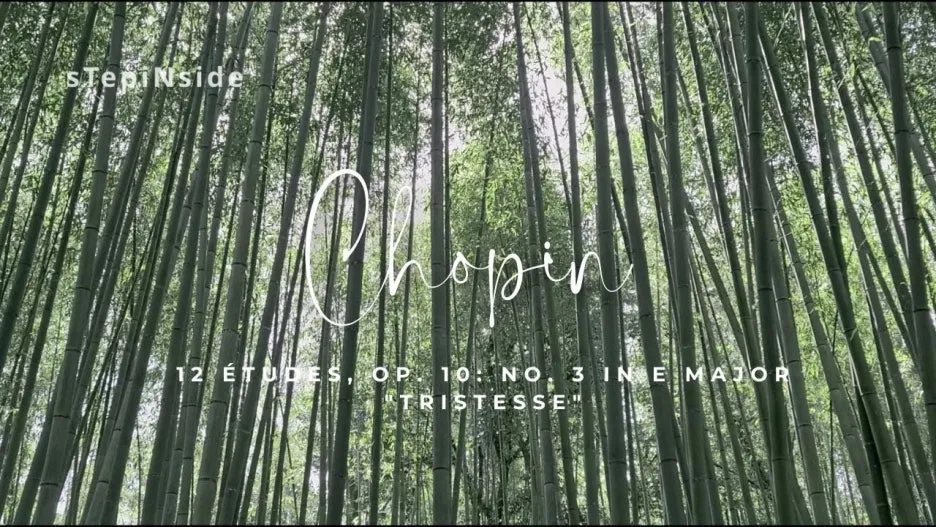 Yunchan_Lim_-_Chopin_%C3%89tudes3.jpg?type=w1