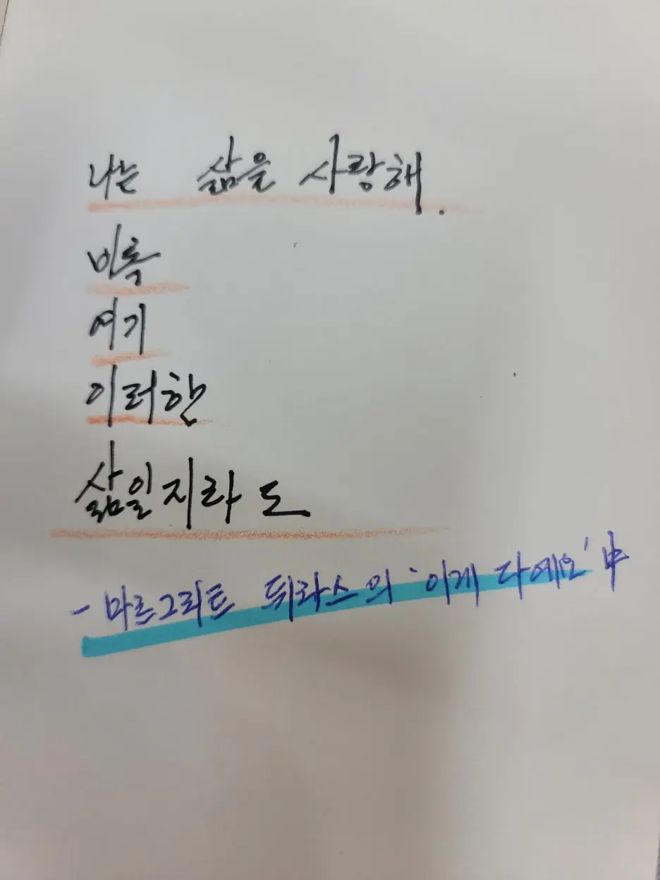 KakaoTalk_20260318_231343685.jpg?type=w1