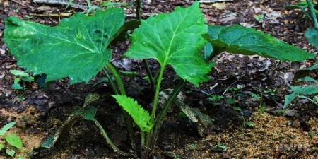 %25EC%25B0%25B8%25.jpg?type=w450_fst_n