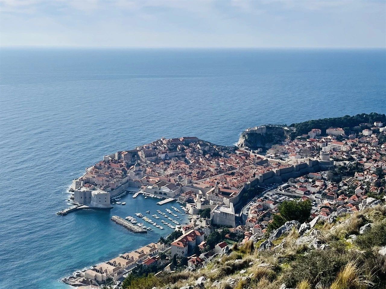 IE003577923_STD.jpg?20260202004326236