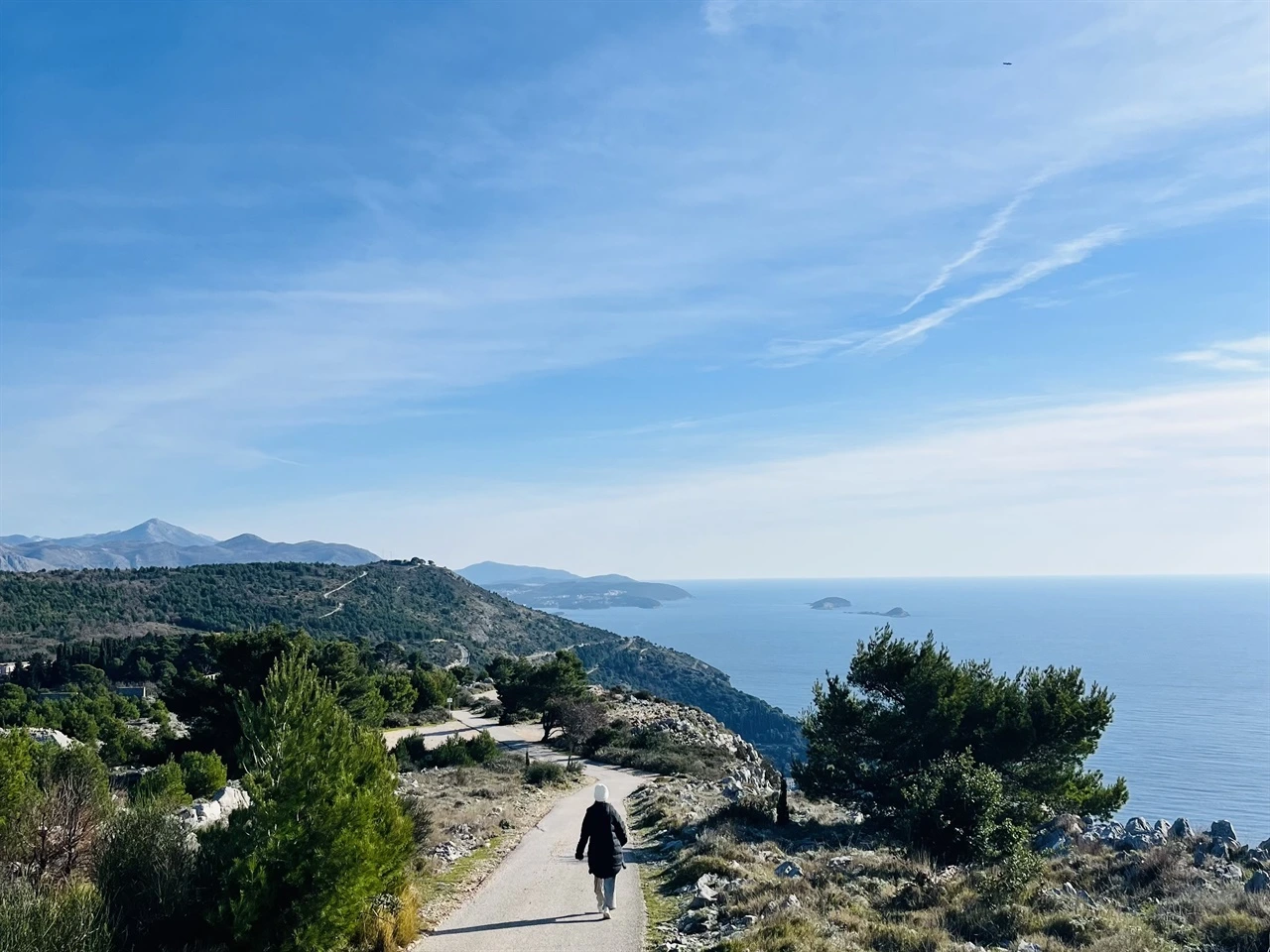 IE003577927_STD.jpg?20260202004326236