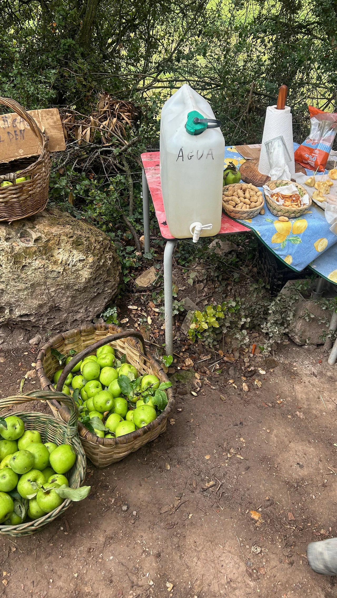 IMG_1993.jpeg