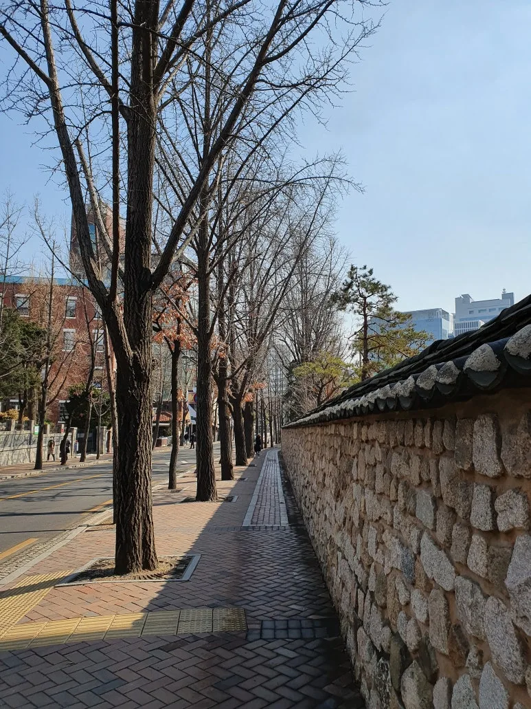 KakaoTalk_20260130_184630061_02.jpg?type=w773