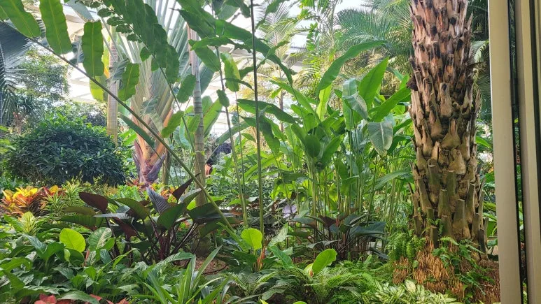 20260111_161216.jpg?type=w773