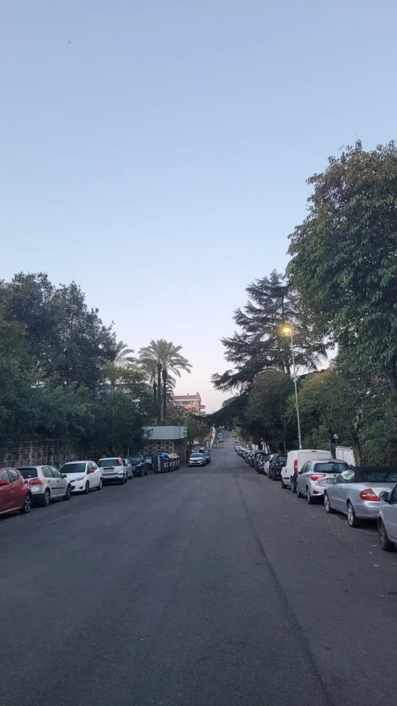 900%EF%BC%BF20260217%EF%BC%BF070228.jpg?type=w773