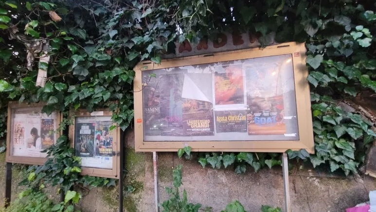 download.api.jpg?type=w773