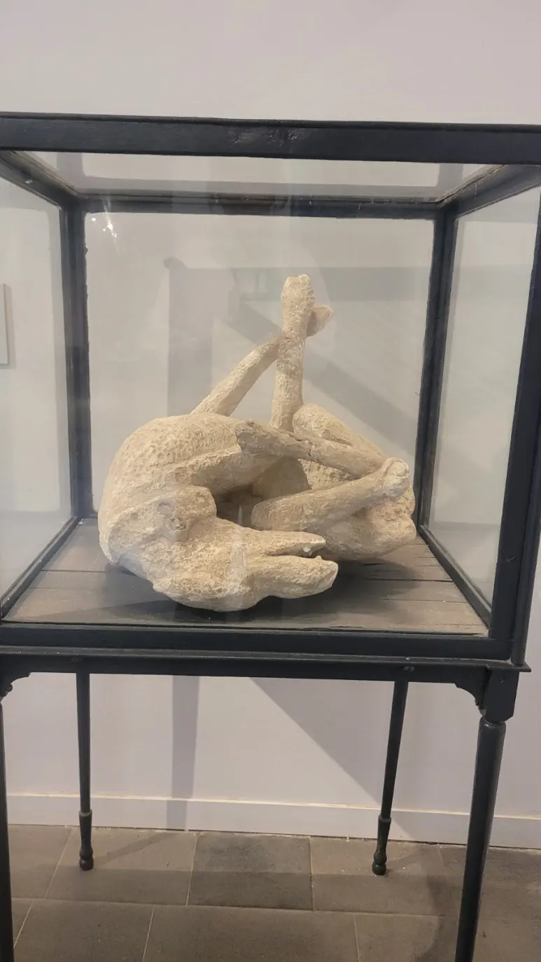 900%EF%BC%BF20260224%EF%BC%BF113541.jpg?type=w773