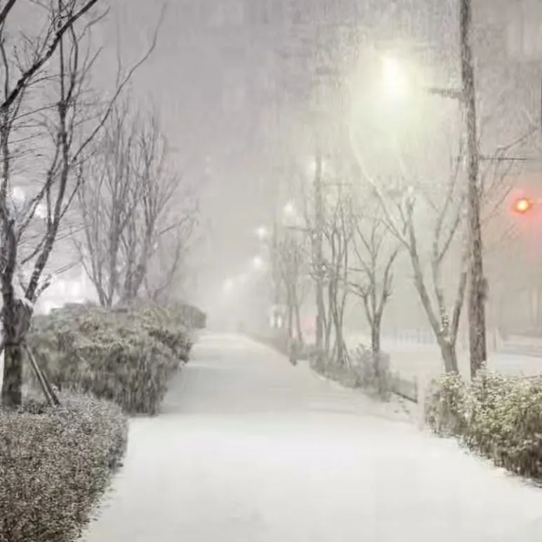 SE-46c6f548-29e0-42fe-a2f2-75c74443a5f2.jpg?type=w773