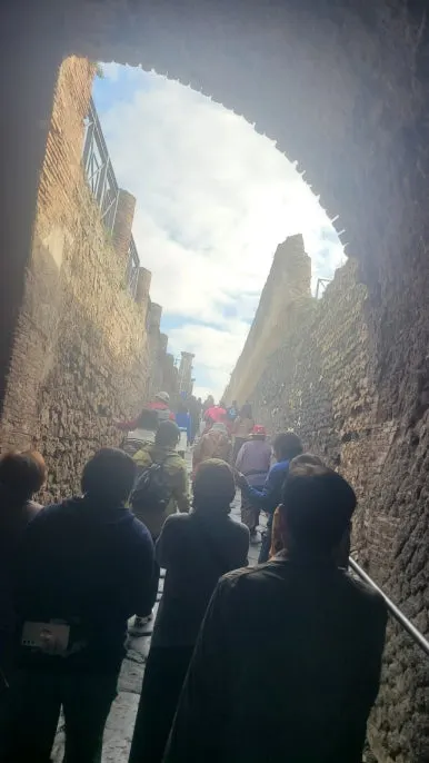 900%EF%BC%BF20260224%EF%BC%BF093417.jpg?type=w386