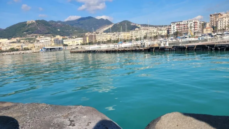 900%EF%BC%BF20260223%EF%BC%BF105335.jpg?type=w773