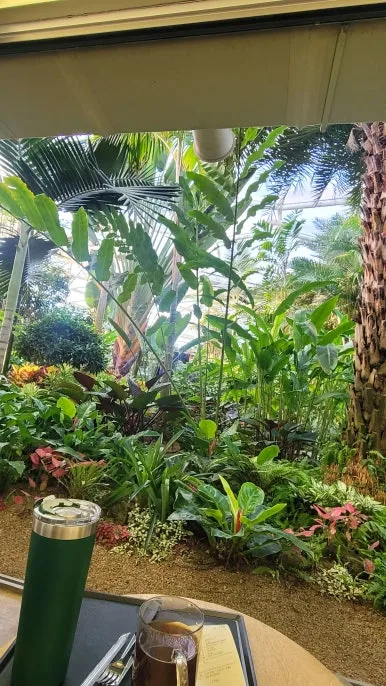 20260111_161202.jpg?type=w386